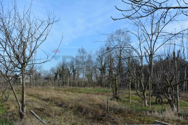 locale di sgombero in vendita a Dolo