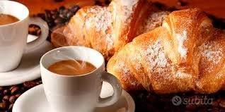 negozio in vendita a Dolo