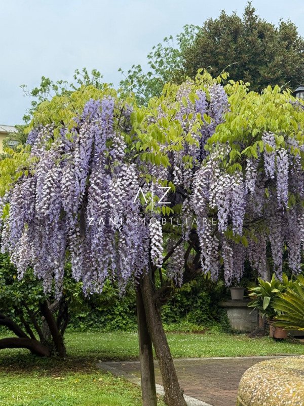 casa indipendente in vendita a Dolo