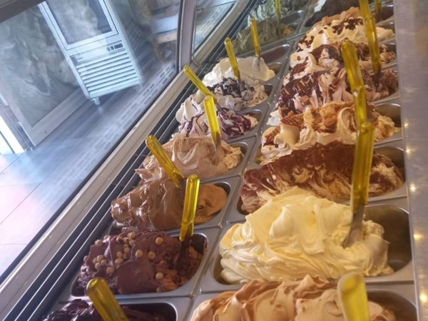 negozio in vendita a Dolo