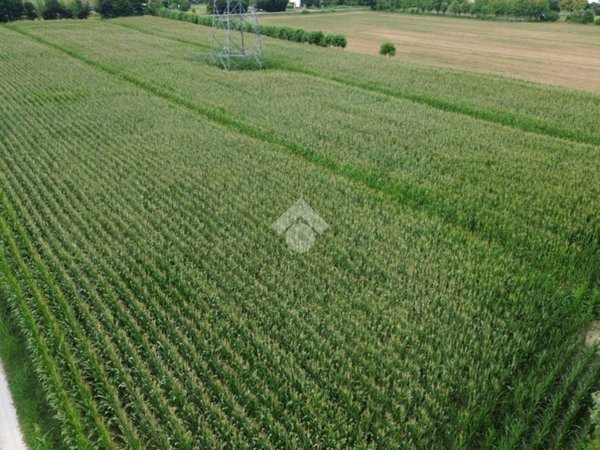 terreno edificabile in vendita a Dolo