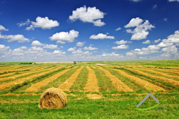 terreno agricolo in vendita a Dolo
