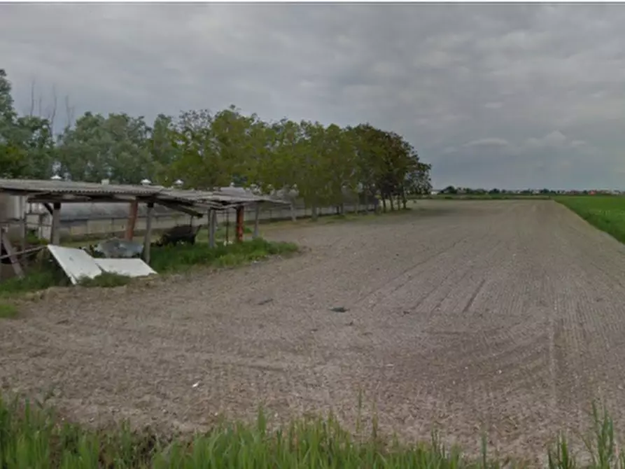 terreno agricolo in vendita ad Eraclea