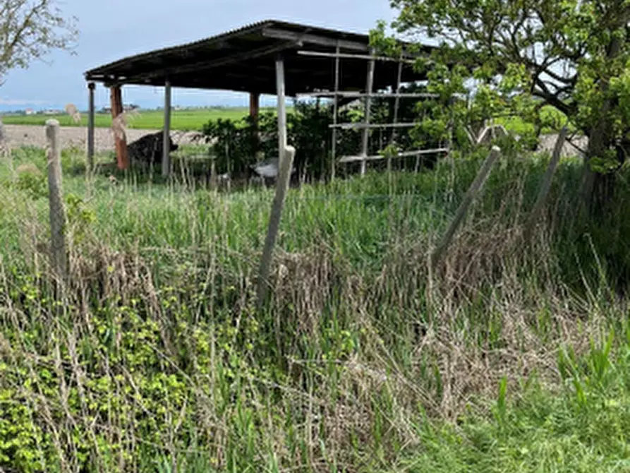 terreno agricolo in vendita ad Eraclea