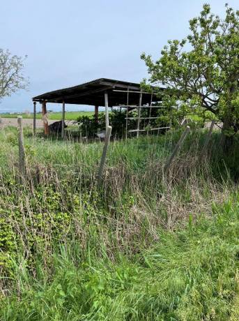 terreno agricolo in vendita ad Eraclea
