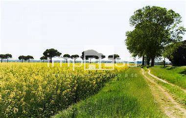 terreno agricolo in vendita ad Eraclea in zona Torre di Fine
