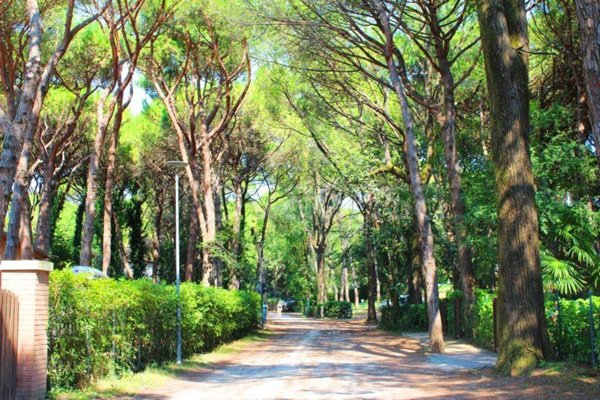 appartamento in vendita ad Eraclea in zona Eracleamare