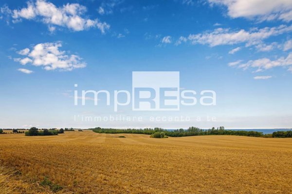 terreno agricolo in vendita ad Eraclea