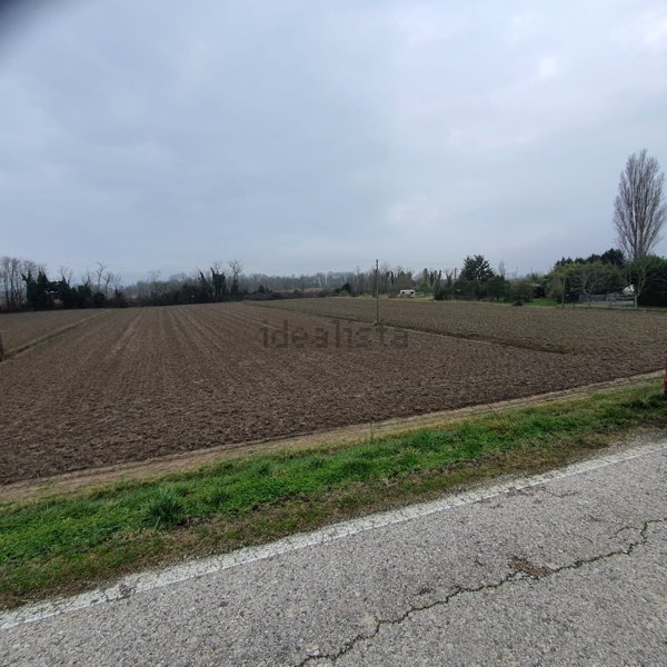 terreno agricolo in vendita ad Eraclea