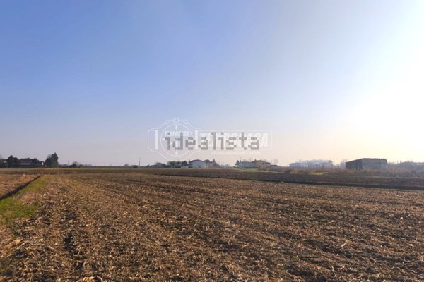 terreno agricolo in vendita ad Eraclea