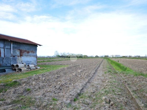 terreno agricolo in vendita ad Eraclea in zona Murazzetta