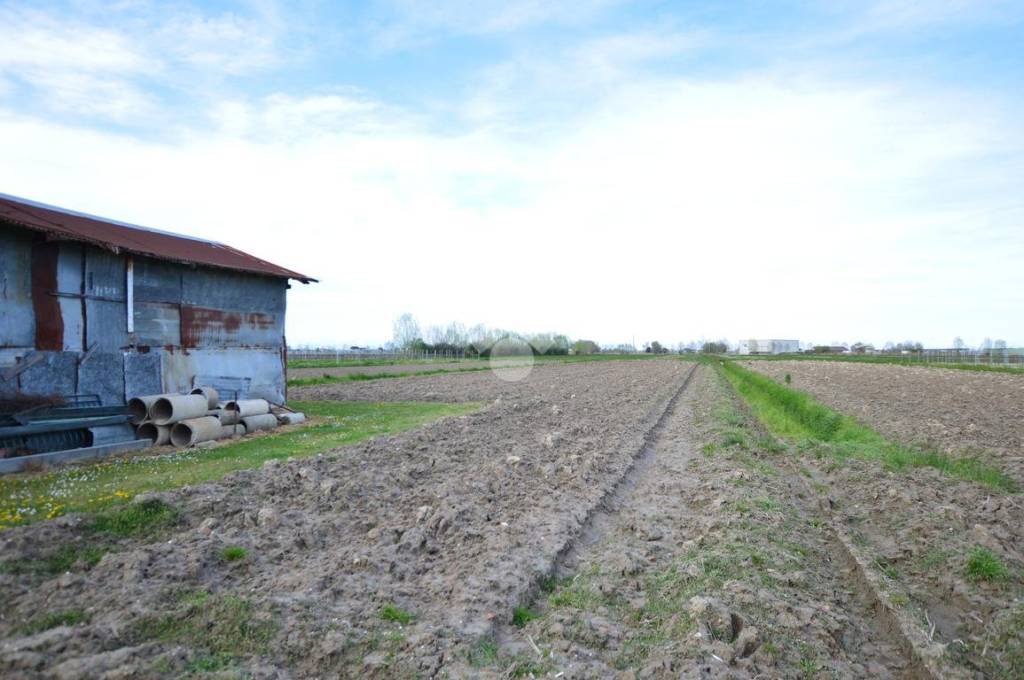 terreno agricolo in vendita ad Eraclea in zona Murazzetta