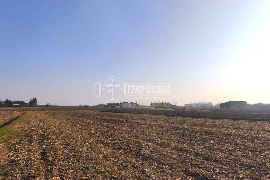 terreno agricolo in vendita ad Eraclea in zona Brian