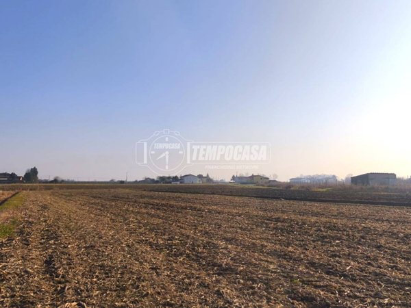 terreno agricolo in vendita ad Eraclea in zona Brian