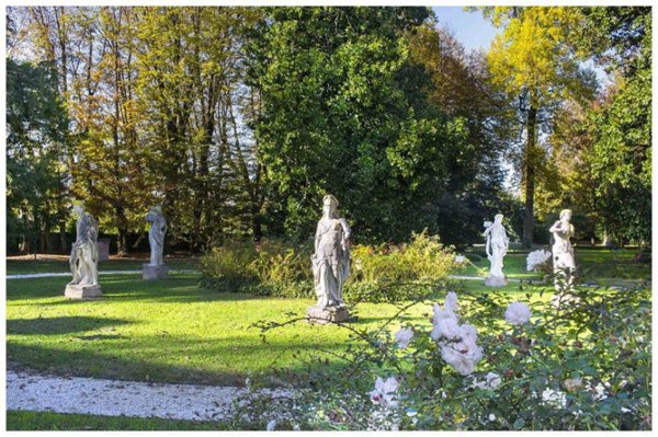 casa indipendente in vendita a Fiesso d'Artico