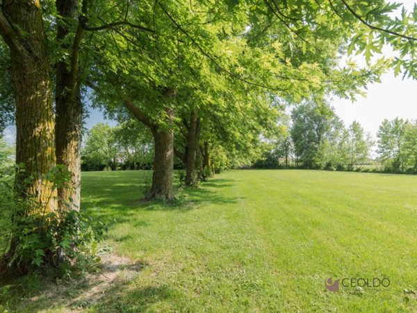 casa indipendente in vendita a Fiesso d'Artico