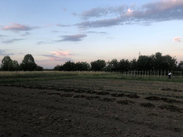 terreno edificabile in vendita a Fiesso d'Artico