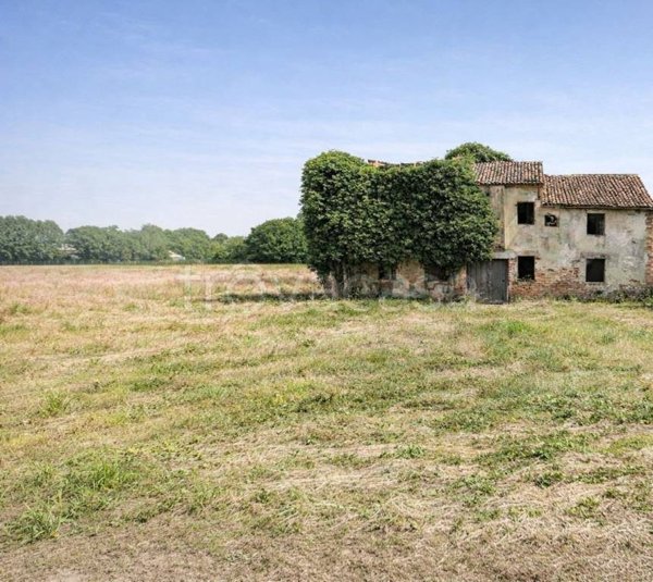 casa indipendente in vendita a Fiesso d'Artico