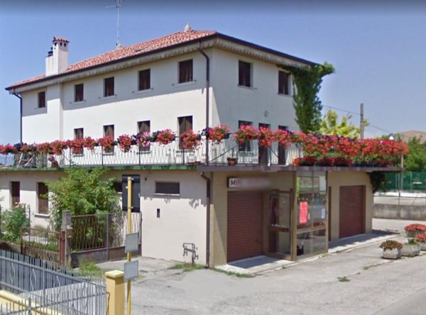 esavano in vendita a Fossalta di Portogruaro in zona Vado