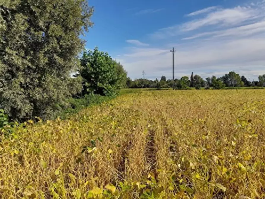 attico in vendita a Fossalta di Portogruaro