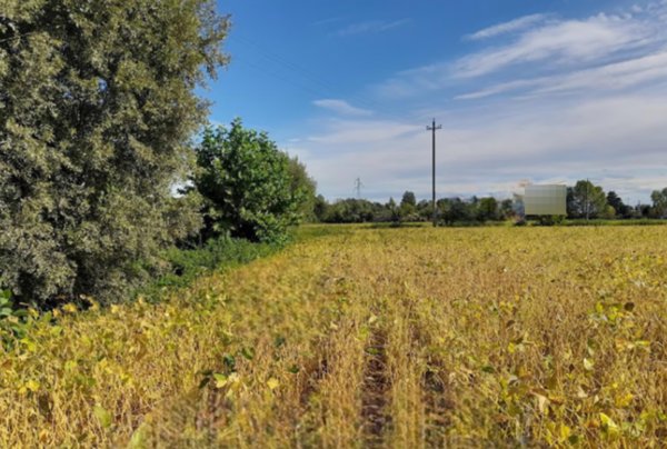 terreno edificabile in vendita a Fossalta di Portogruaro