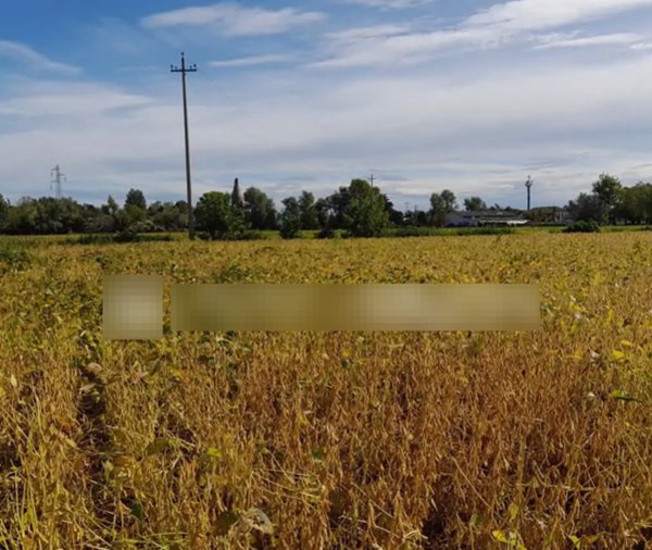 terreno agricolo in vendita a Fossalta di Portogruaro