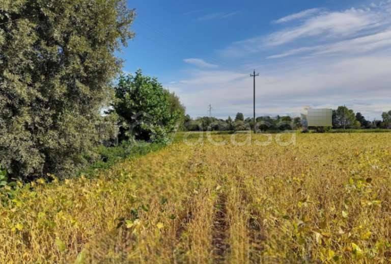 monolocale in vendita a Fossalta di Portogruaro