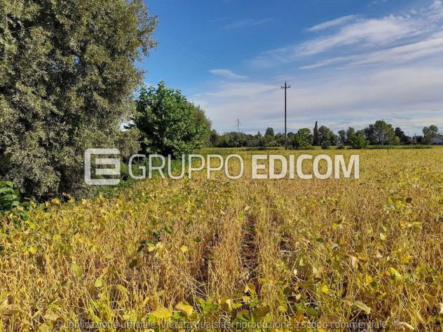 casale in vendita a Fossalta di Portogruaro