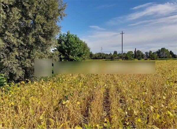 terreno agricolo in vendita a Fossalta di Portogruaro