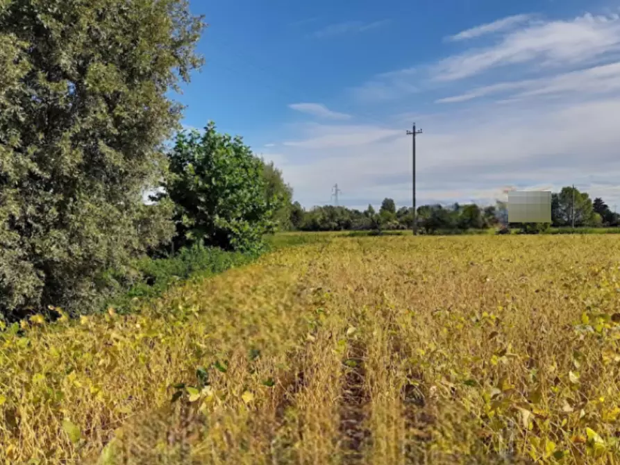 terreno agricolo in vendita a Fossalta di Portogruaro