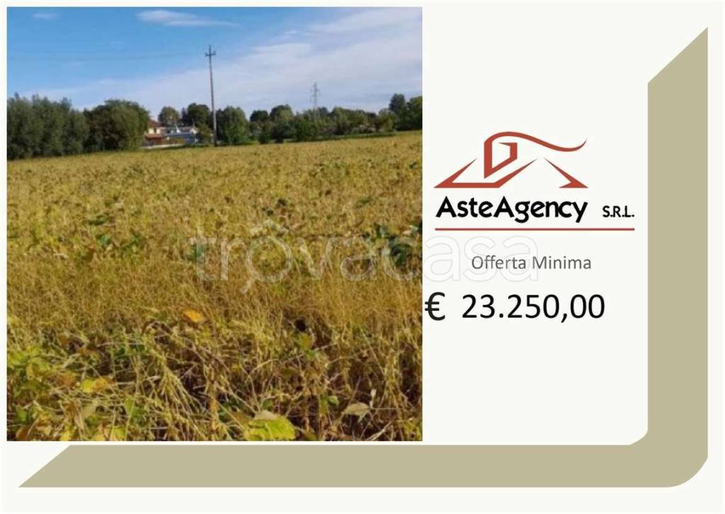terreno agricolo in vendita a Fossalta di Portogruaro in zona Sacilato