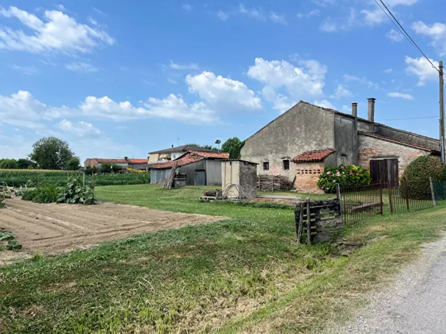 terreno agricolo in vendita a Fossò