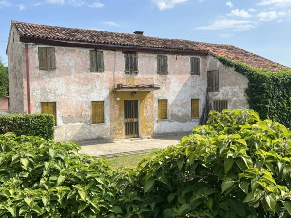 terreno agricolo in vendita a Fossò