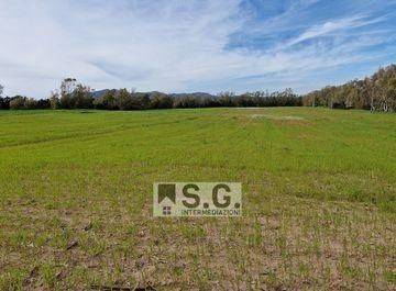 terreno edificabile in vendita a Fossò