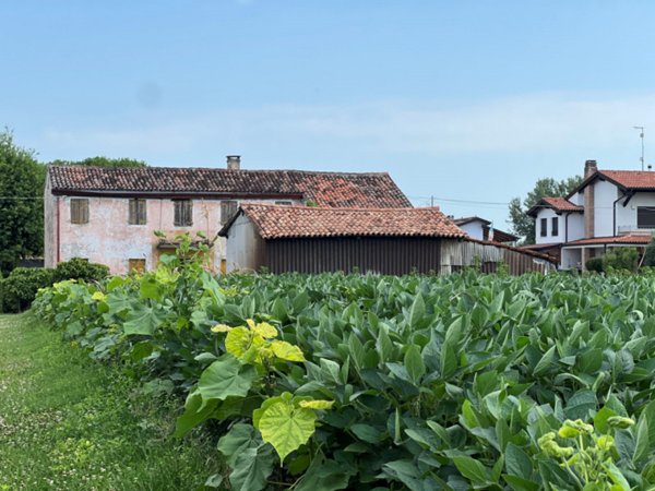 terreno edificabile in vendita a Fossò