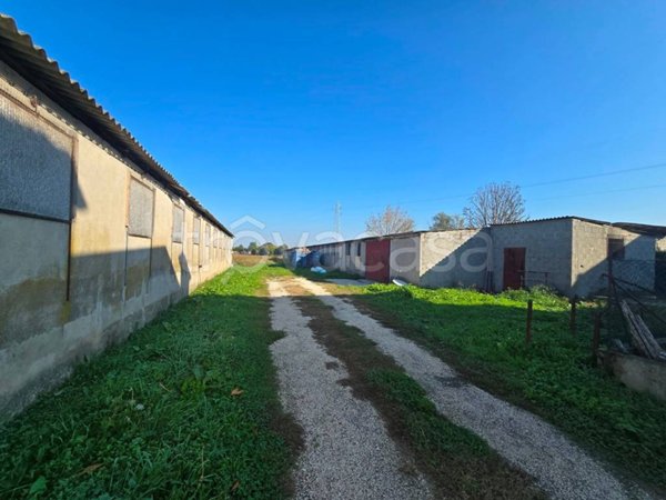 negozio in vendita a Fossò in zona Sandon