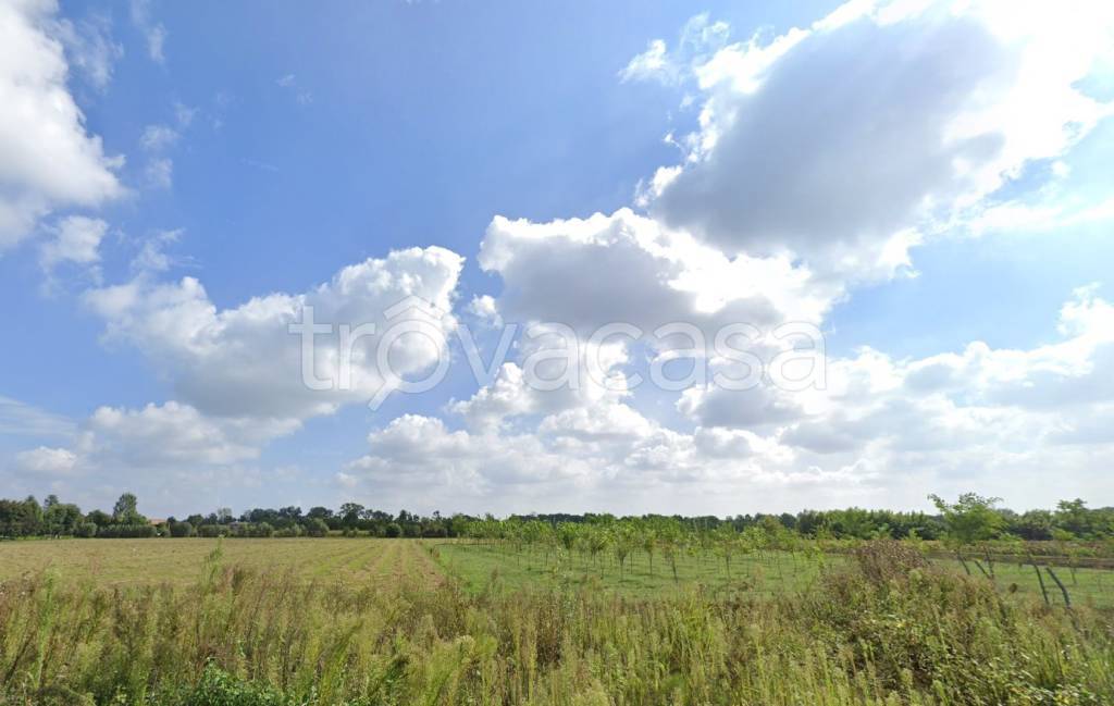 terreno agricolo in vendita a Gruaro