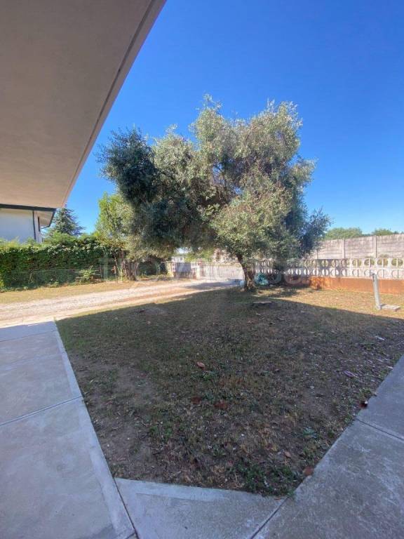 appartamento in vendita a Gruaro