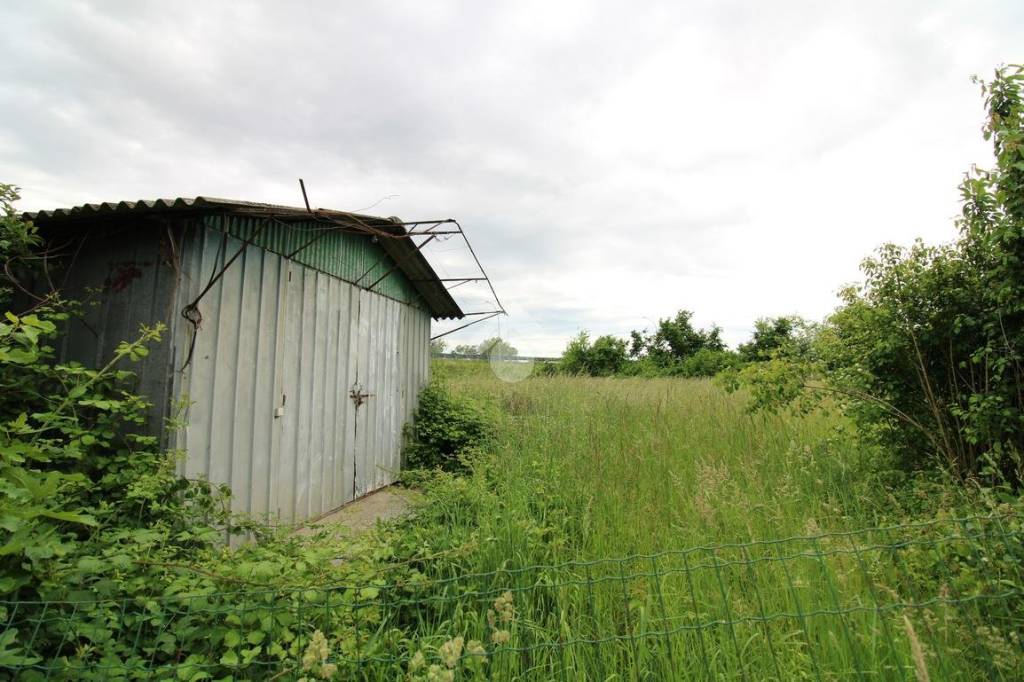 terreno agricolo in vendita a Gruaro