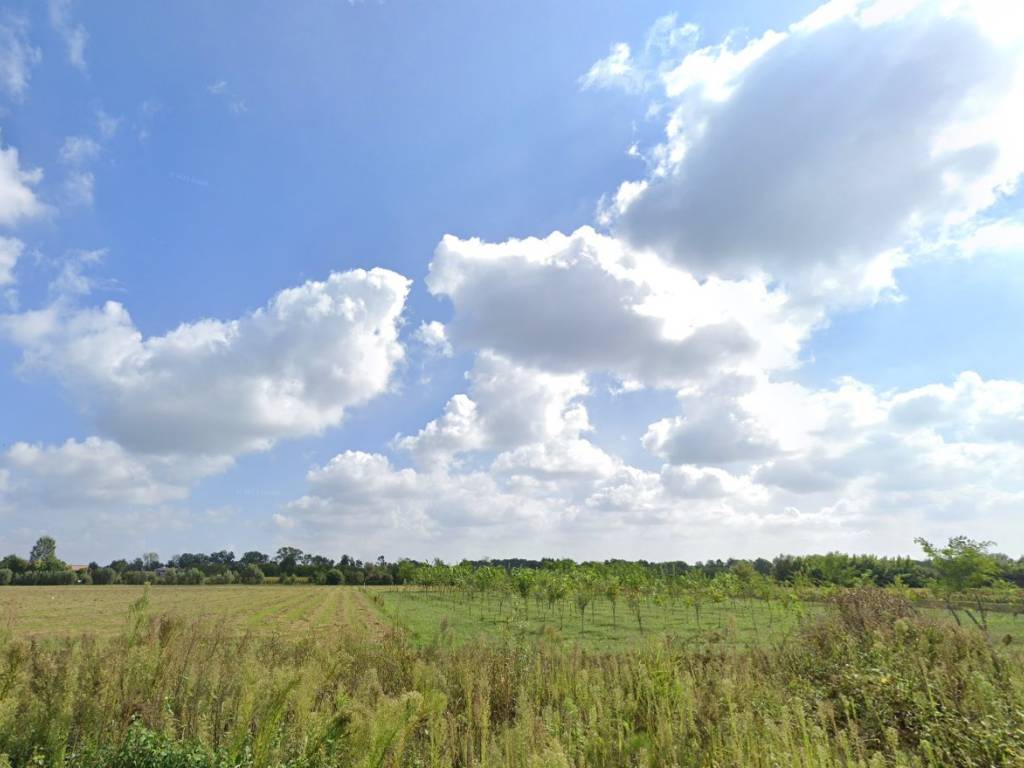 terreno agricolo in vendita a Gruaro