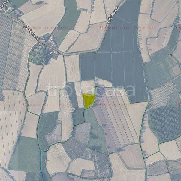 terreno agricolo in vendita a Gruaro