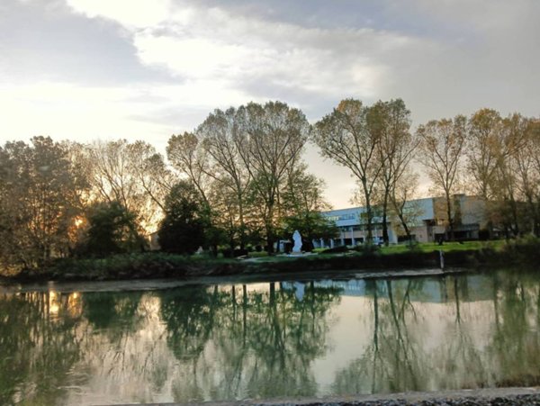 negozio in vendita a Jesolo