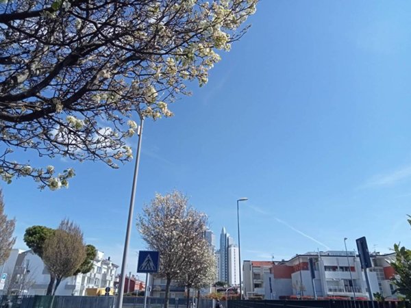 appartamento in vendita a Jesolo in zona Lido