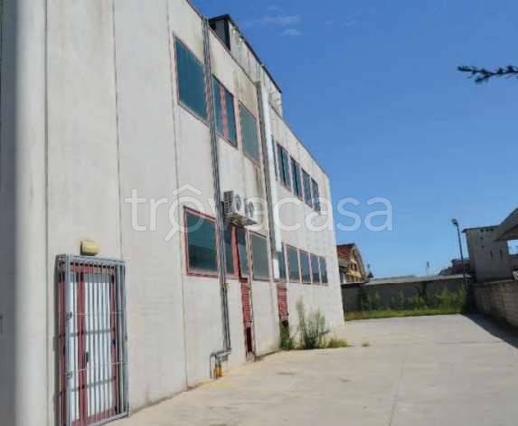 appartamento in vendita a Jesolo