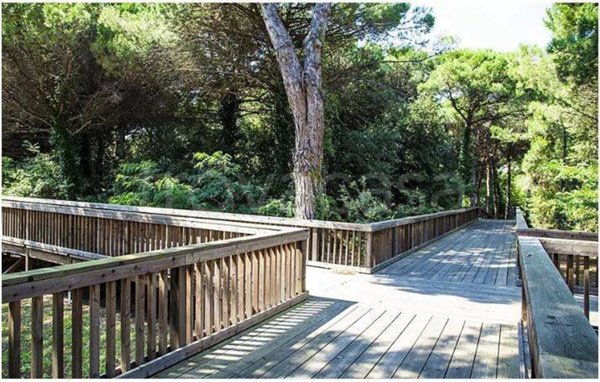 appartamento in vendita a Jesolo in zona Lido