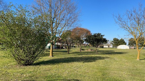 negozio in vendita a Jesolo