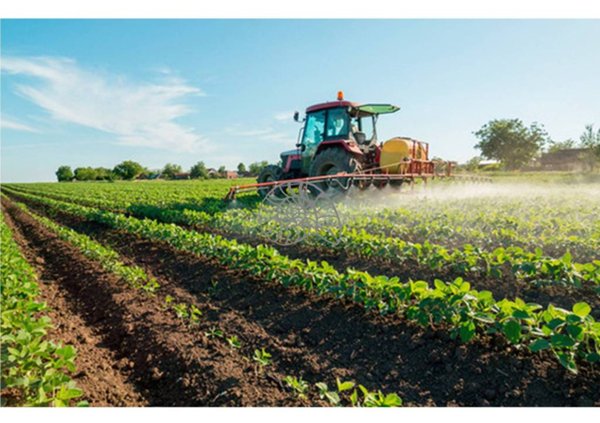 terreno agricolo in vendita a Jesolo