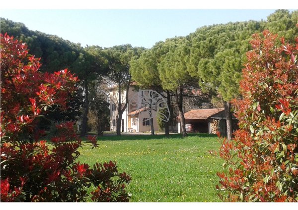 immagine annuncio 0 di 1