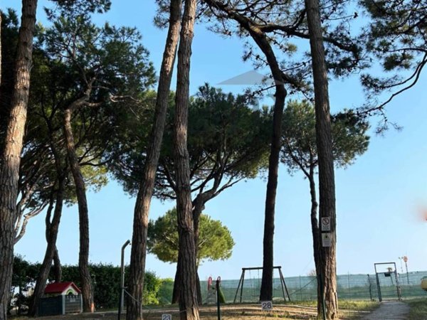 appartamento in vendita a Jesolo in zona Lido