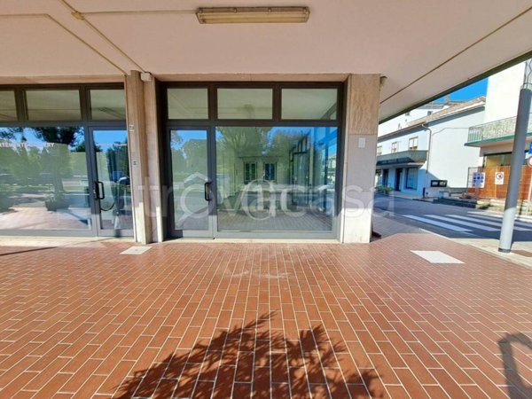 immagine annuncio 0 di 15